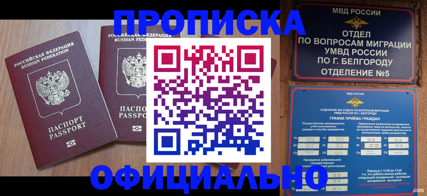 найти адрес прописки в Шахунье